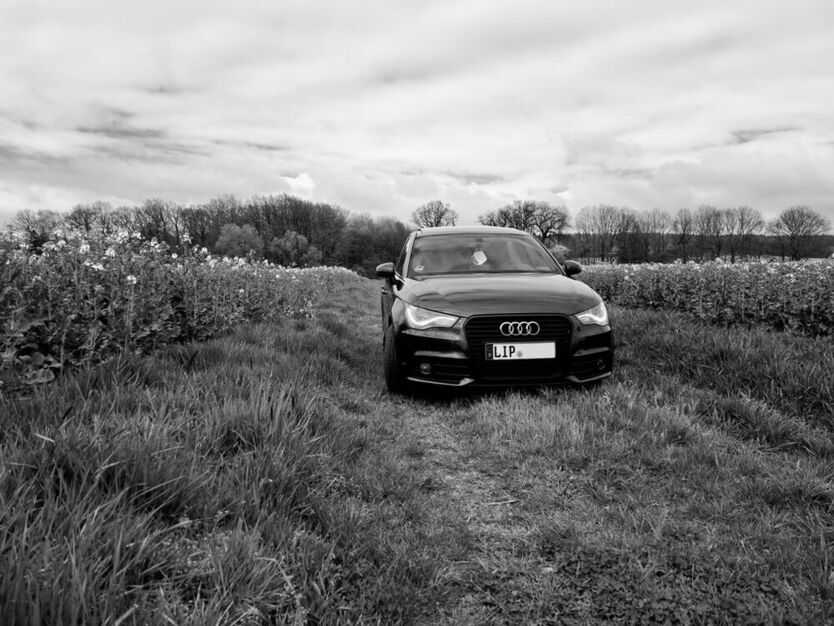 A1