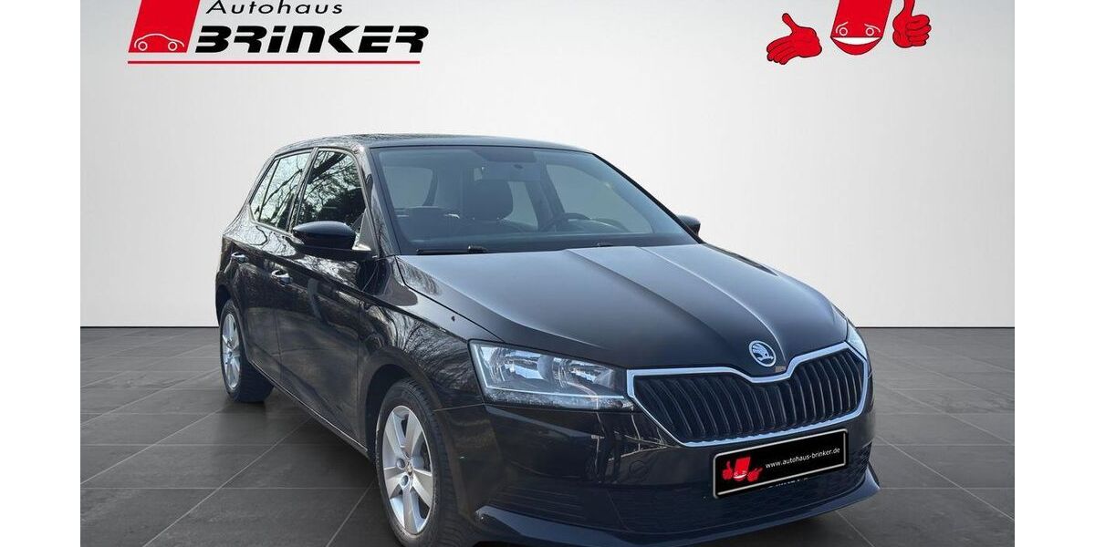 Skoda Fabia 52.612 km 11.930 &euro; Bielefeld 33649