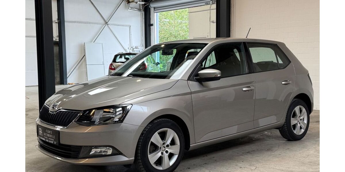 Skoda Fabia 110.879 km 8.990 &euro; Bielefeld 33649