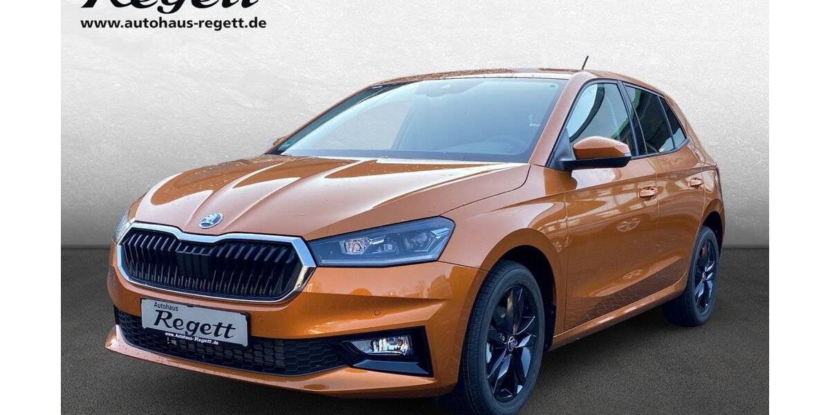 Skoda Fabia 1.571 km 28.490 &euro; Delbrück-Westenholz 33129