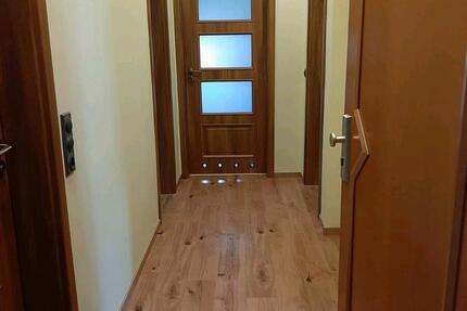 Wohnung in Spork- Eichholz zur Miete ab dem 01.02.2026 zimmer