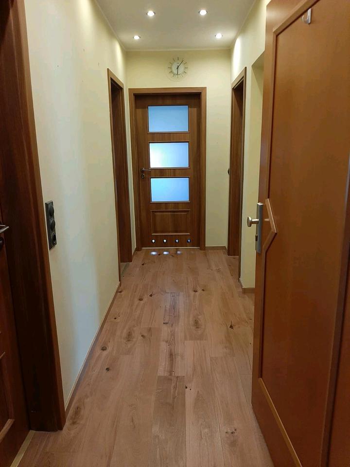 Wohnung in Spork- Eichholz zur Miete ab dem 01.02.2026 zimmer