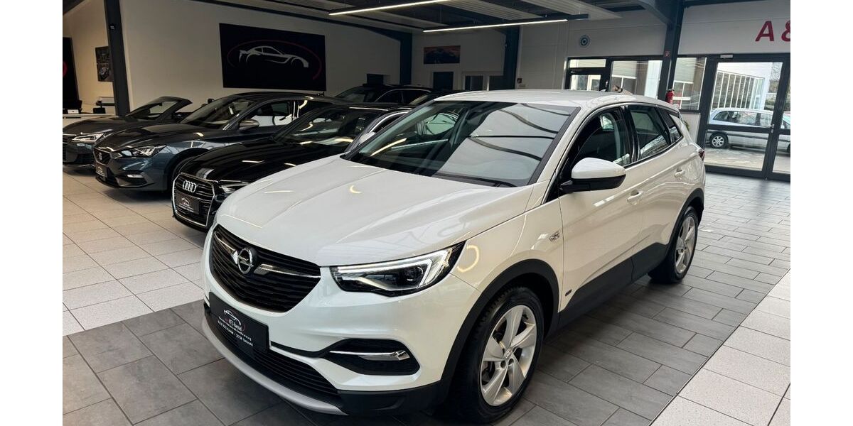 Opel Grandland (X) 49.000 km 17.900 &euro; Detmold 32758