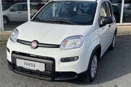Fiat Panda 4.490 km 14.990 &euro; Lage 32791