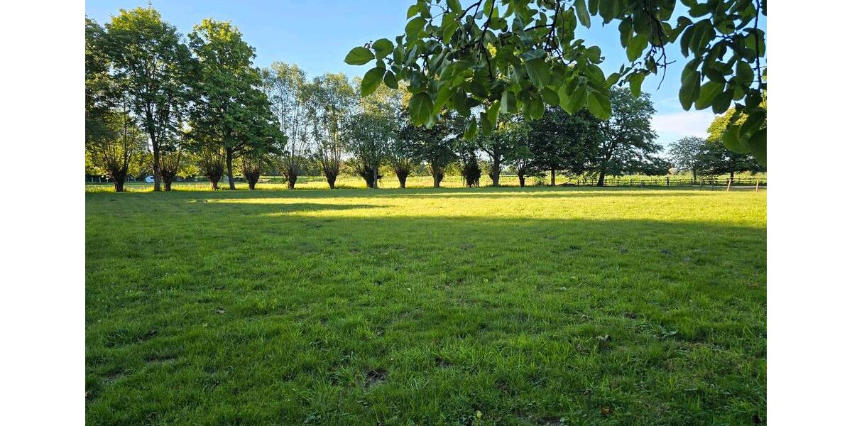 Grundstück Gütersloh Isselhorst - 350&euro; | Angebot:26531860