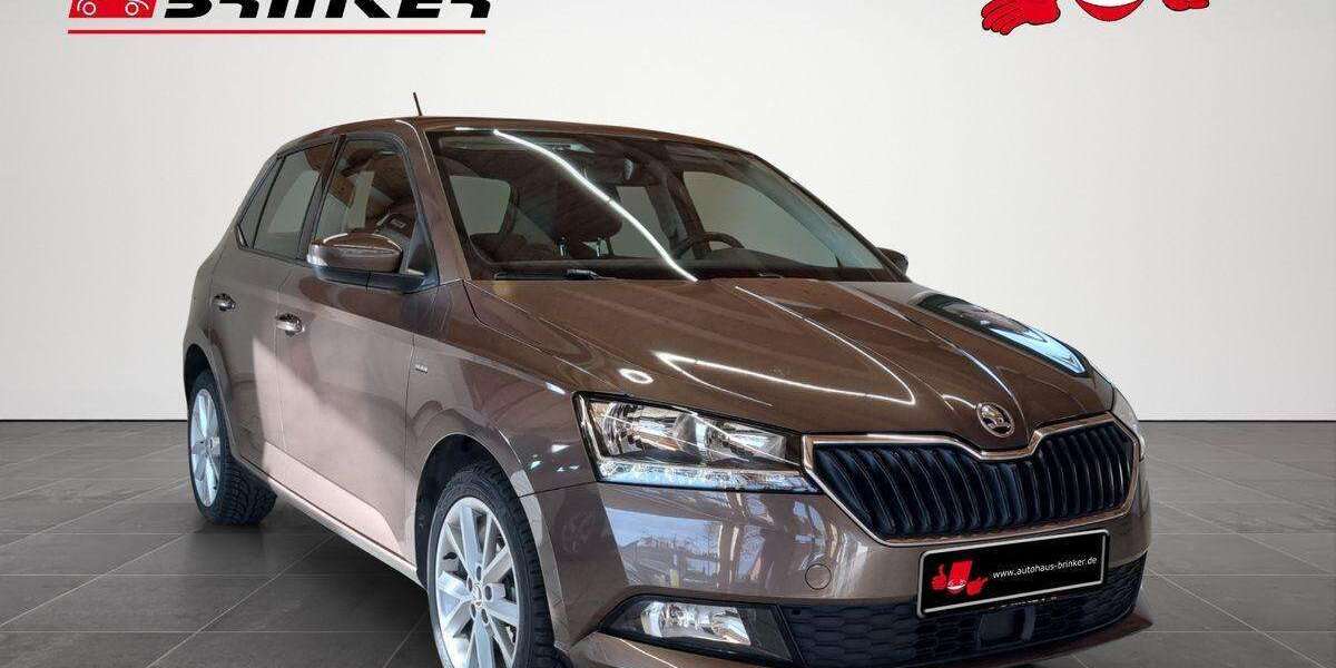 Skoda Fabia 120.246 km 8.930 &euro; Bielefeld 33649