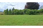 Mehrfamilienhaus, Wohnhaus Detmold Hakedahl - 10 Zimmer, 240 m&sup2;, 398.000&euro; | Angebot:25947813