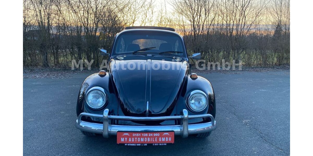 VW Käfer 71.373 km 14.999 &euro; Lage 32791