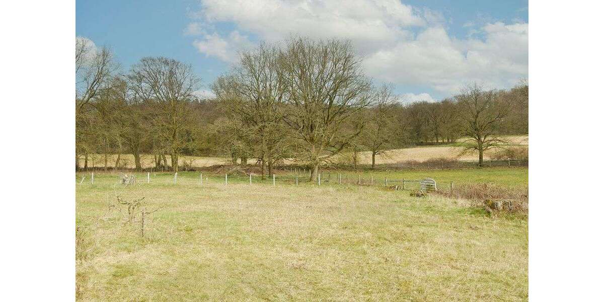 Grundstück Steinhagen - 350.000&euro; | Angebot:25717821