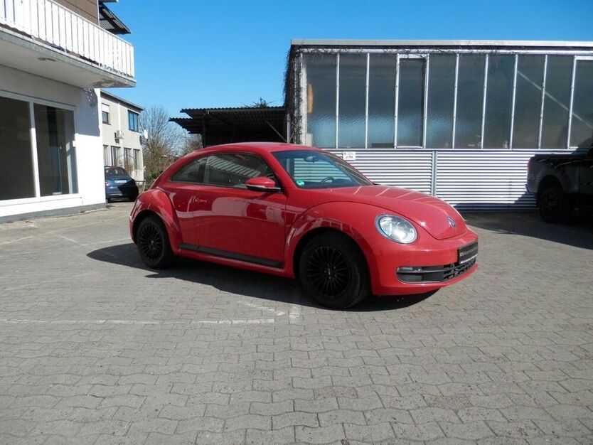 Beetle