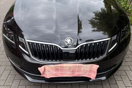 Skoda Octavia 119.000 km 14.300 &euro; Bielefeld 33659