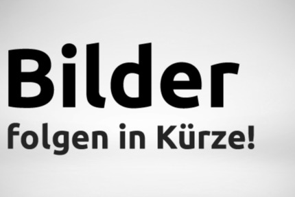 Frisch renovierte 2-Zimmer-Wohnung im Dachgeschoss 2 zimmer