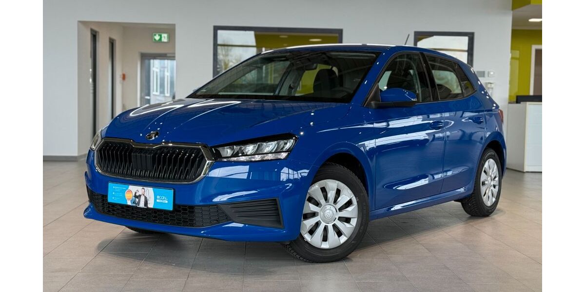 Skoda Fabia 32.000 km 10.999 &euro; Herford 32052