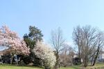 Etagenwohnung Herford - 5 Zimmer, 200 m&sup2;, 2.000&euro; | Angebot:25439050