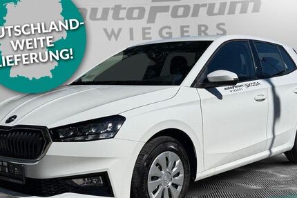 Skoda Fabia 5.590 km 16.870 € Herford 32051