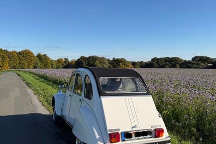 Citroen 2 CV 42.180 km 18.750 &euro; Werther 33824