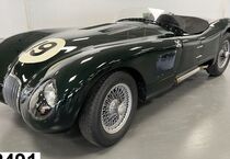 Jaguar Andere