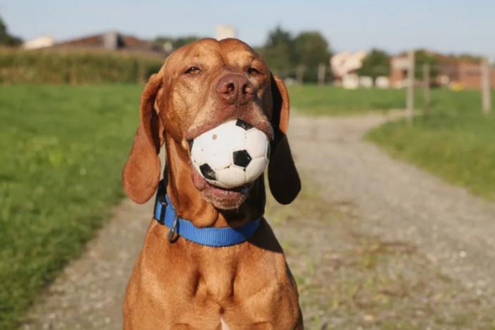 Einfamilienhaus Steinhagen - 5 Zimmer, 136 m&sup2;, 1.750&euro; | Angebot:24524782