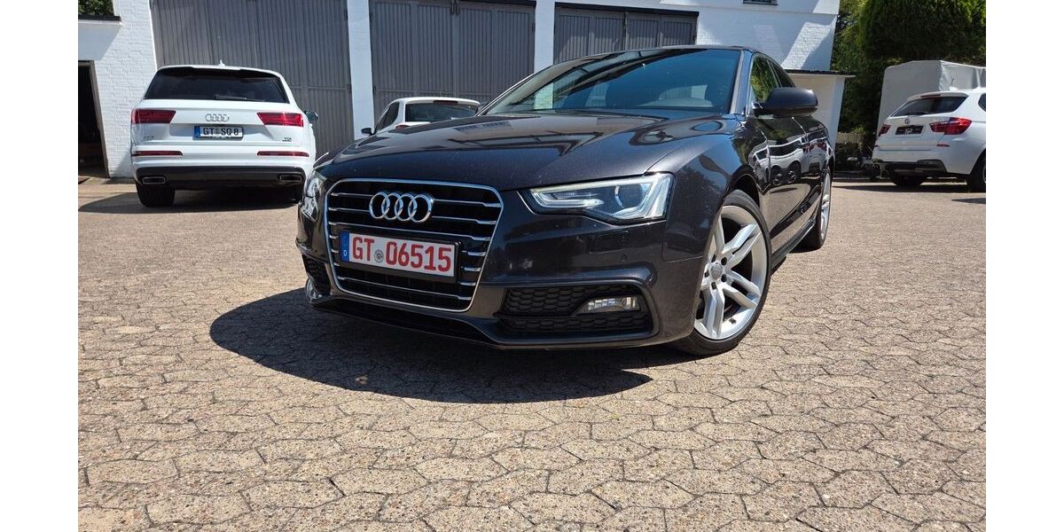 Audi A5 350.000 km 11.999 &euro; Werther 33824