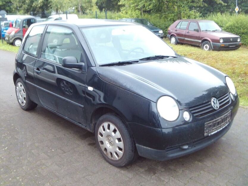 Lupo