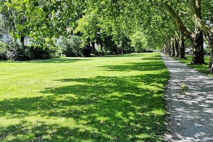 Familienfreundliche 5-Zimmer-Altbauwohnung mit Balkon in Bielefeld 5 zimmer