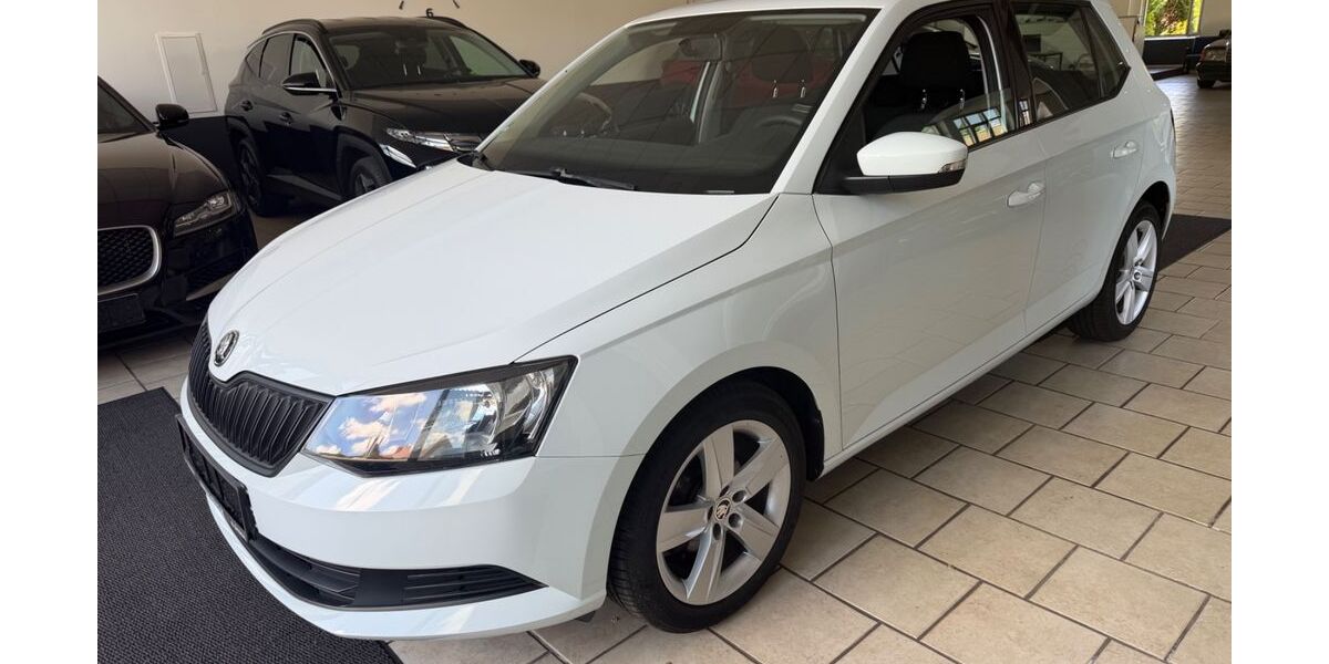 Skoda Fabia 114.000 km 7.650 &euro; Detmold 32756