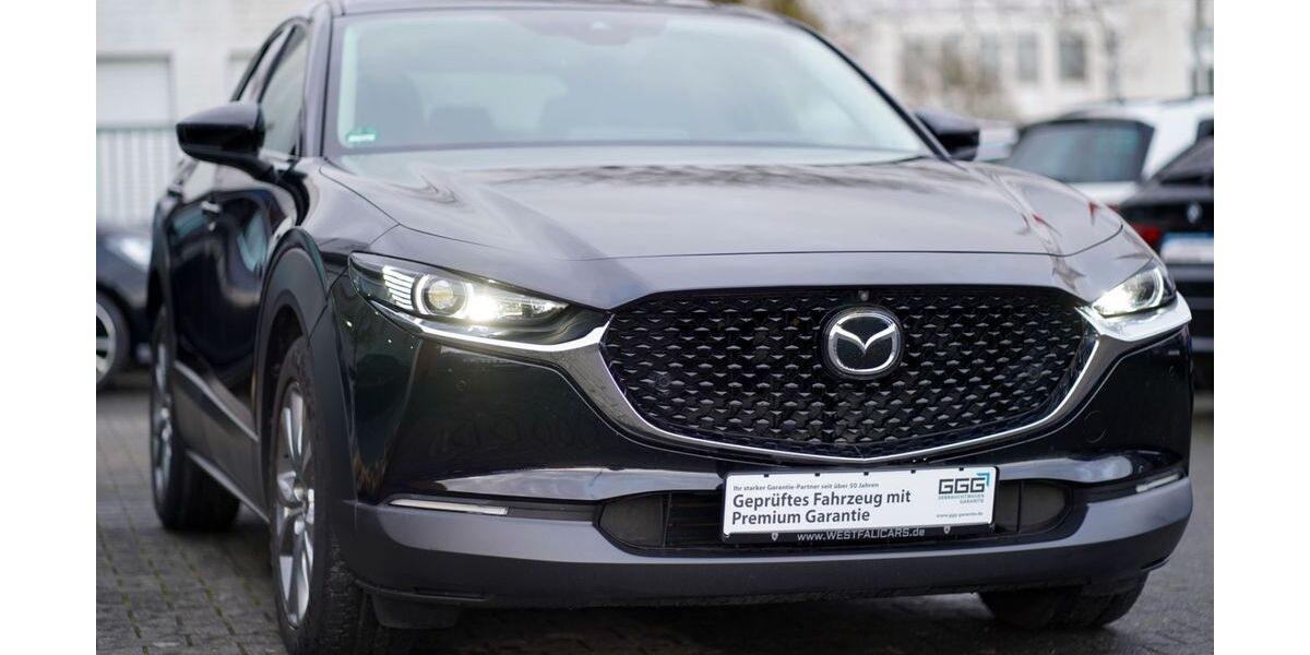 Mazda CX-30 76.246 km 19.000 &euro; Rheda-Wiedenbrück 33378