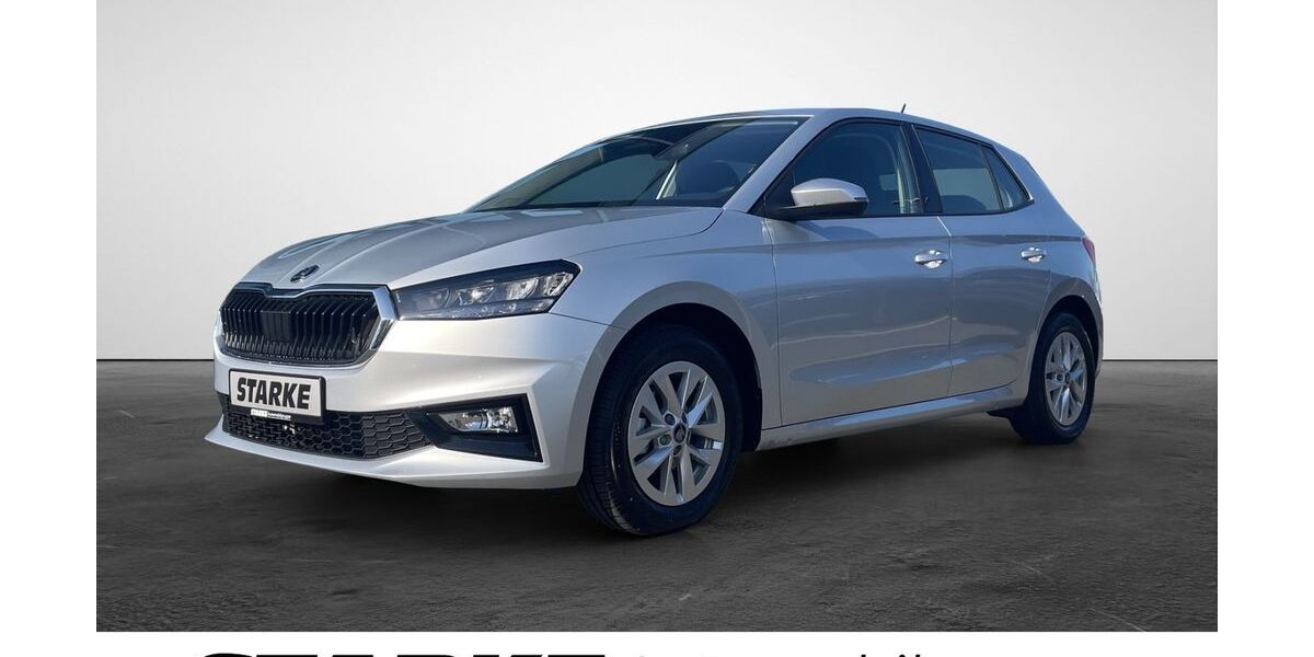 Skoda Fabia 12.090 km 16.940 &euro; Versmold 33775