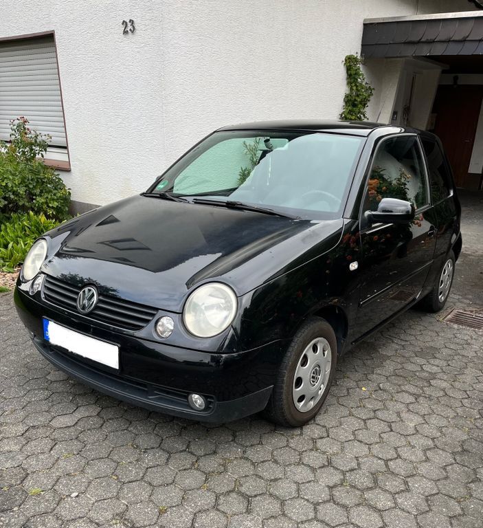 Lupo