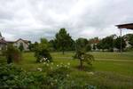 Barrierefreie Terrassen-Wohnung - 