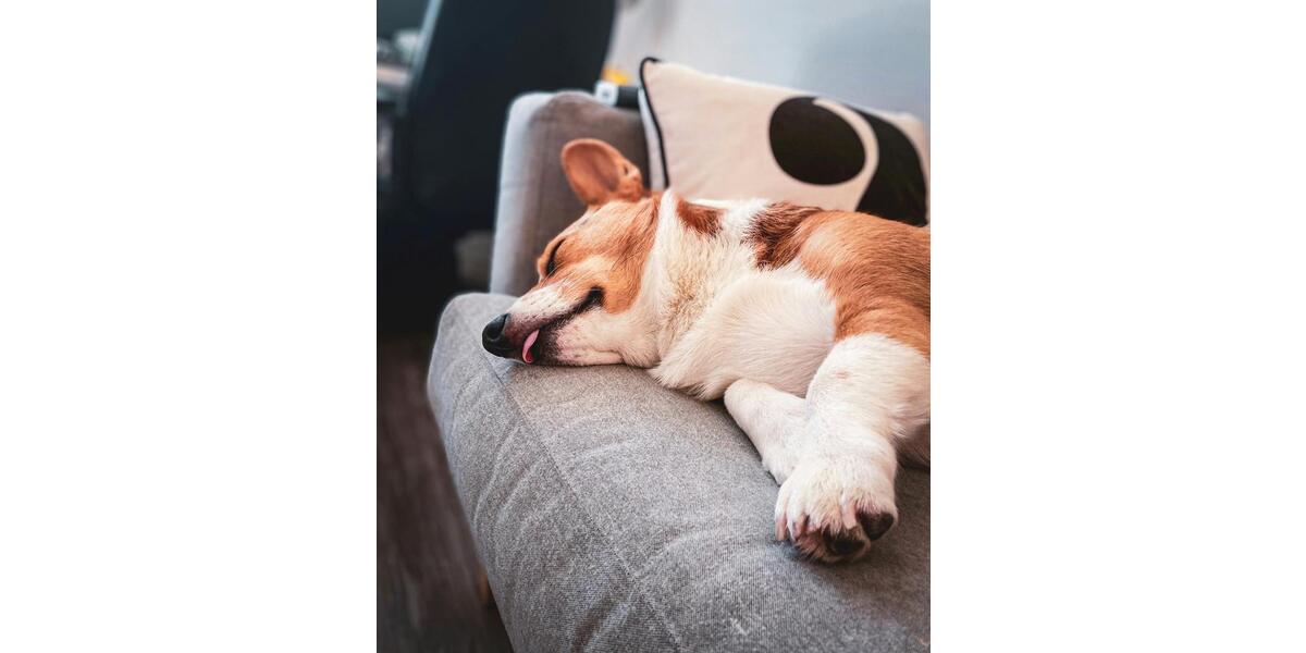 Eigenheim statt Miete! – Wunderschönes Traumhaus von Schwabenhaus 5 zimmer