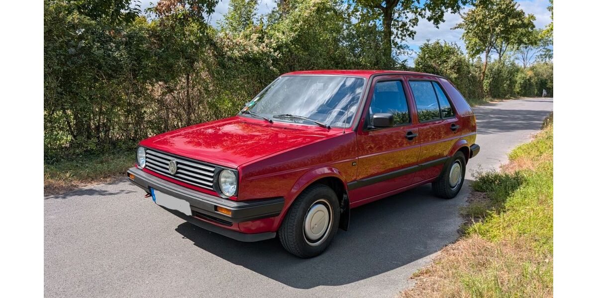 VW Golf 169.100 km 3.990 &euro; Borgholzhausen 33829