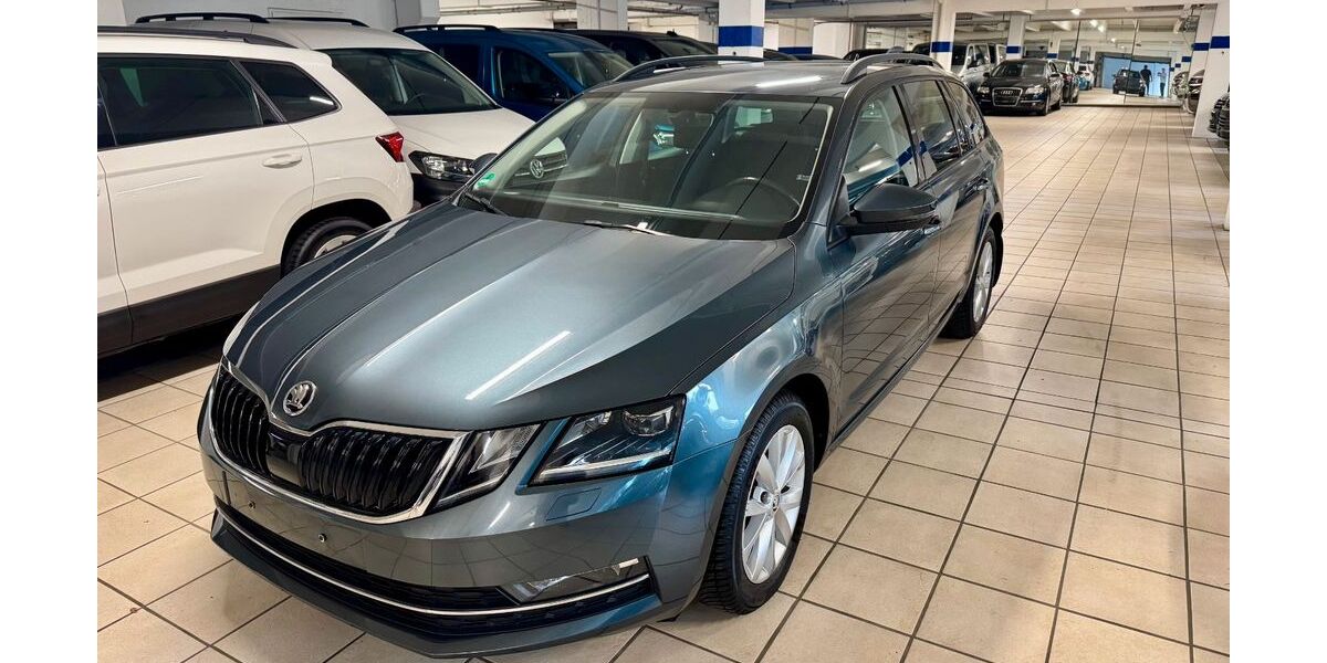 Skoda Octavia 130.900 km 15.799 &euro; Bielefeld 33613