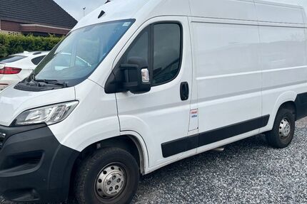 Opel Movano 16.600 km 18.950 € Versmold 33775