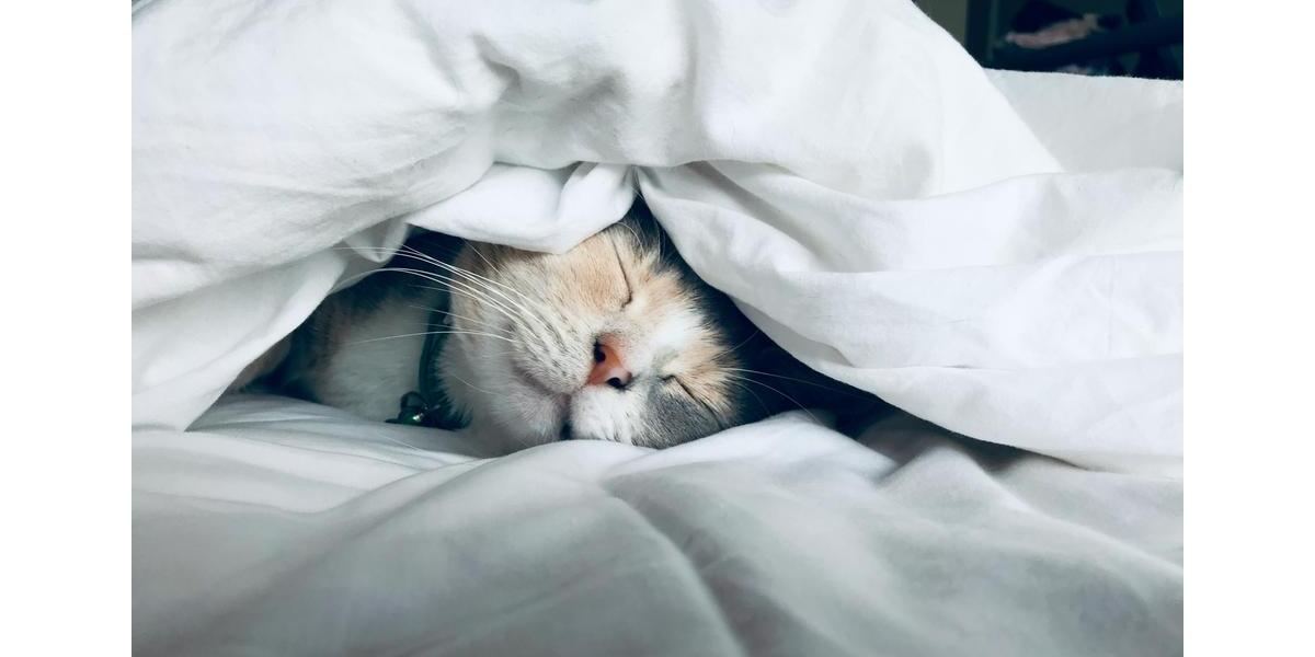 Einfamilienhaus Löhne - 4 Zimmer, 155 m&sup2;, 1.999&euro; | Angebot:24629821