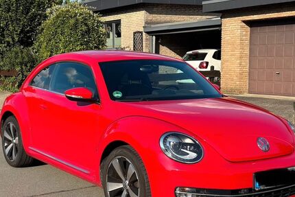 VW Beetle