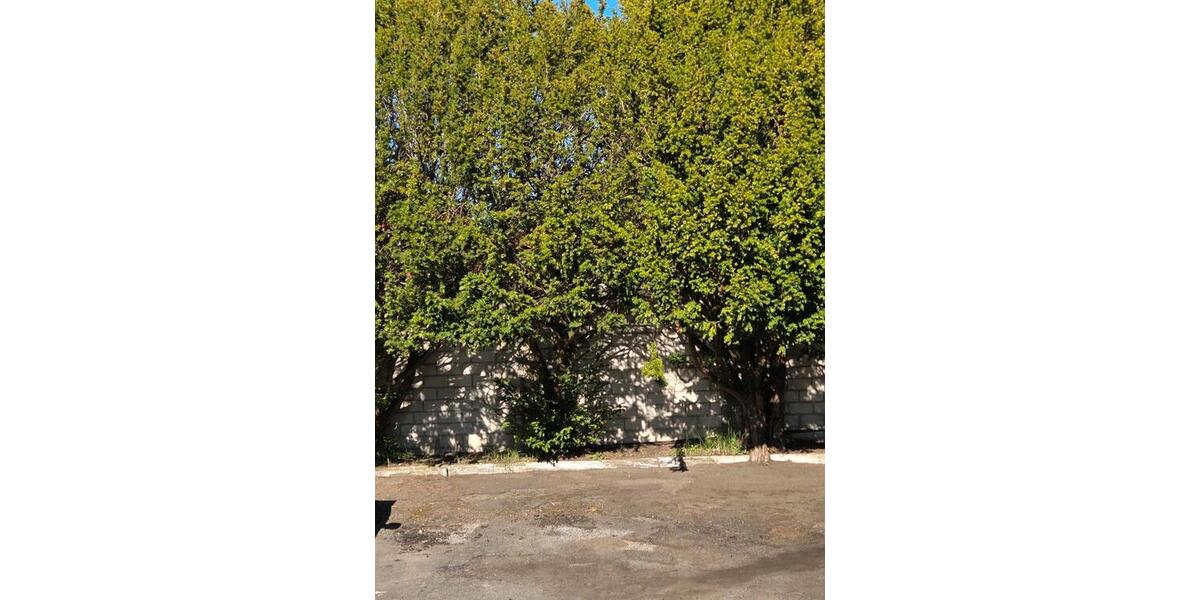 Garagen / Stellplätze Bielefeld Heepen - 40&euro; | Angebot:26273619