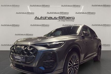 Audi Q5 18.900 km 59.890 &euro; Detmold 32758