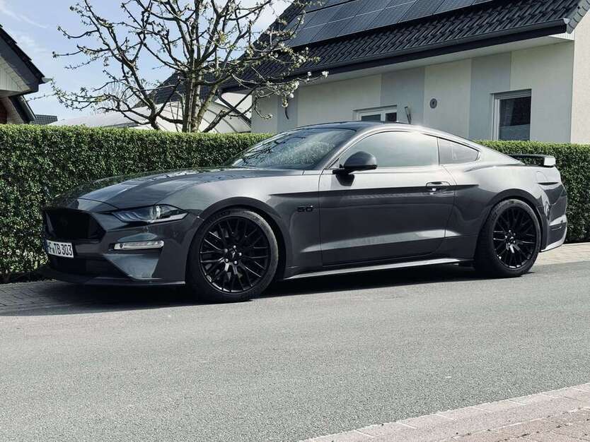 Mustang