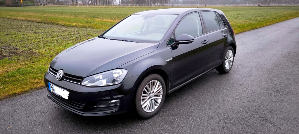 VW Golf 186.000 km 8.100 &euro; Hövelhof 33161
