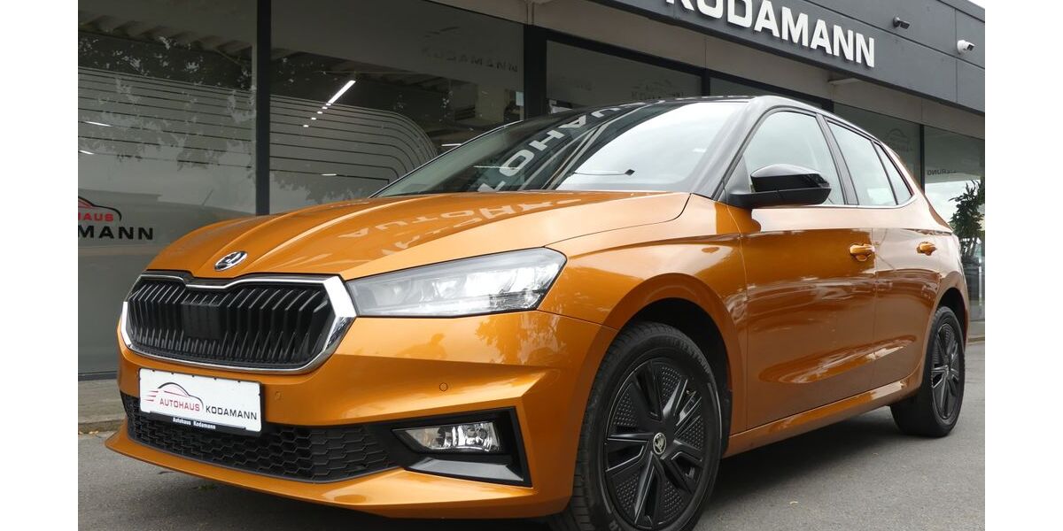 Skoda Fabia 81.772 km 16.550 &euro; Rheda-Wiedenbrück 33378