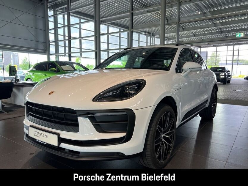Macan