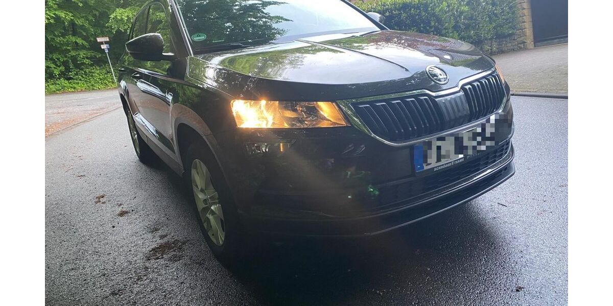 Skoda Karoq 101.400 km 14.200 &euro; Bielefeld 33609