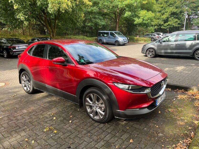 CX-30
