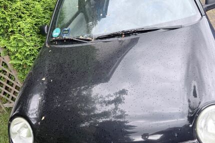 VW Lupo 152.331 km 1.400 &euro; Bünde 32257
