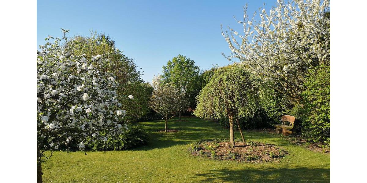 Mehrfamilienhaus, Wohnhaus Lemgo - 8 Zimmer, 215 m&sup2;, 444.000&euro; | Angebot:26722195