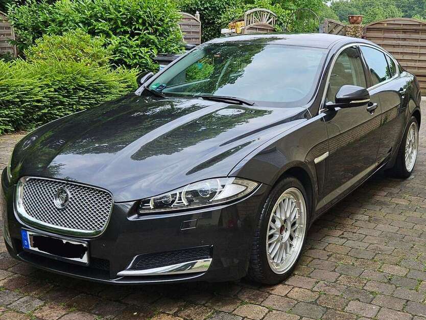 XF
