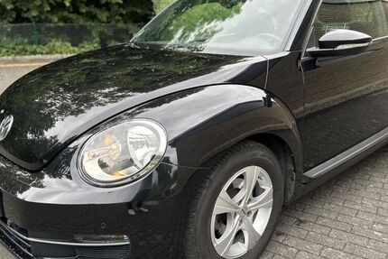 VW Beetle