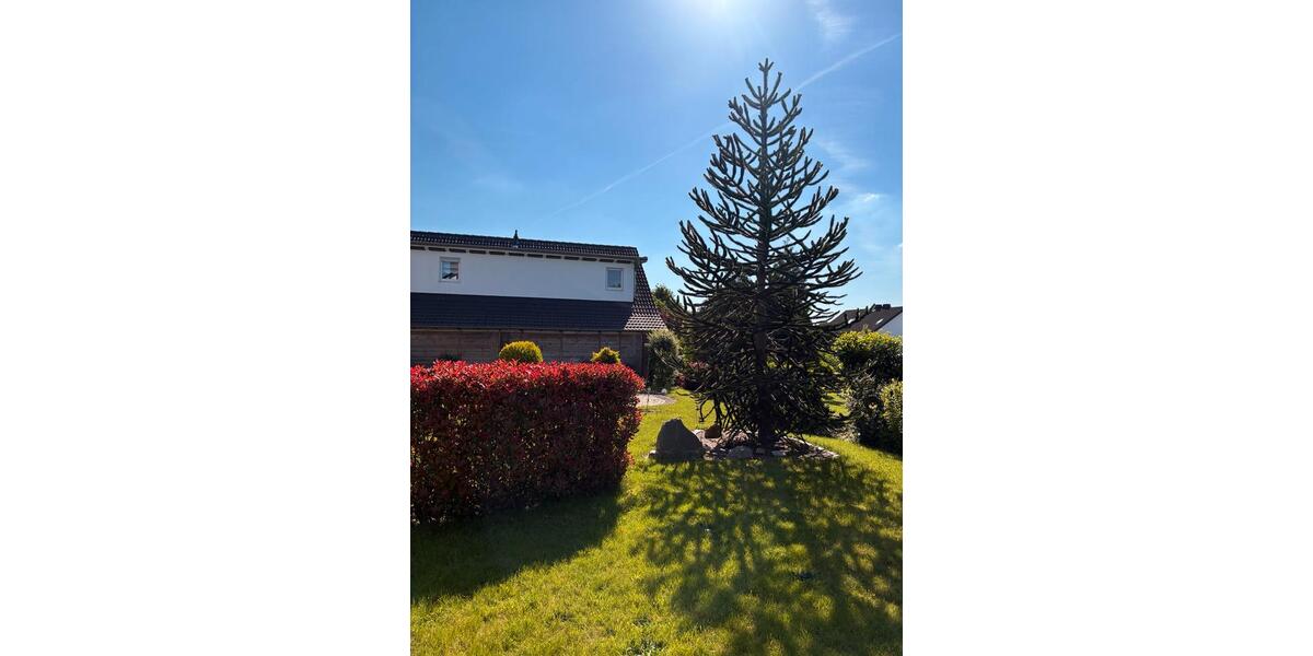 Mehrfamilienhaus, Wohnhaus Löhne - 9 Zimmer, 190 m&sup2;, 319.000&euro; | Angebot:27072793