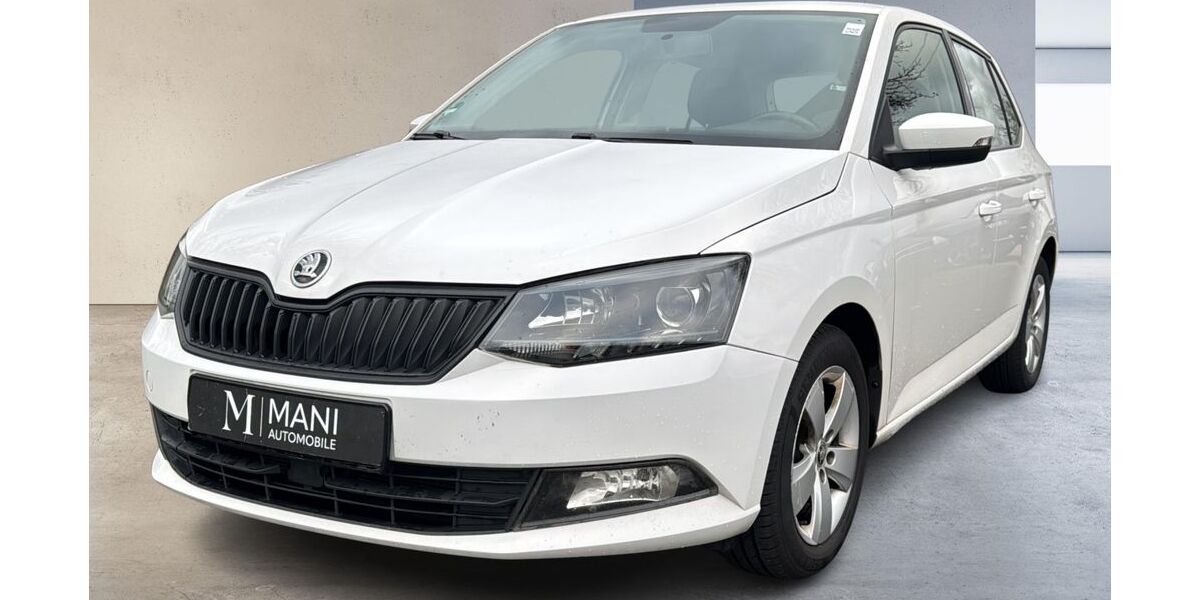 Skoda Fabia 138.600 km 6.990 &euro; Lage 32791
